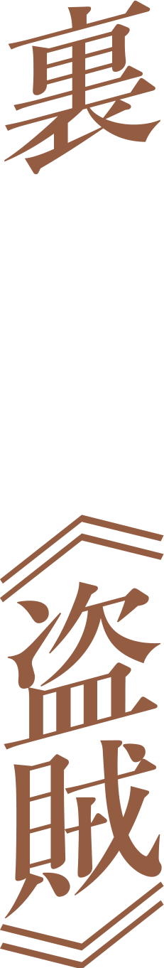裏の顔は正義を貫く情熱的な盗賊